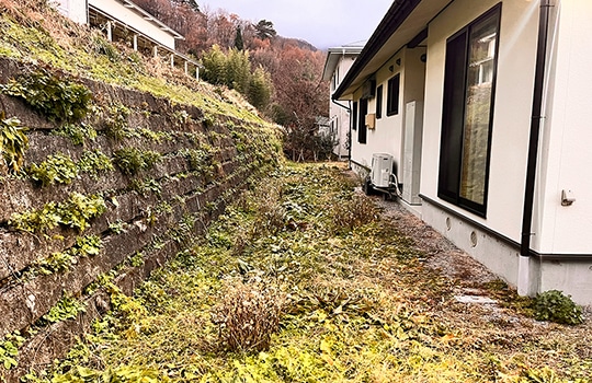 草刈り・剪定
